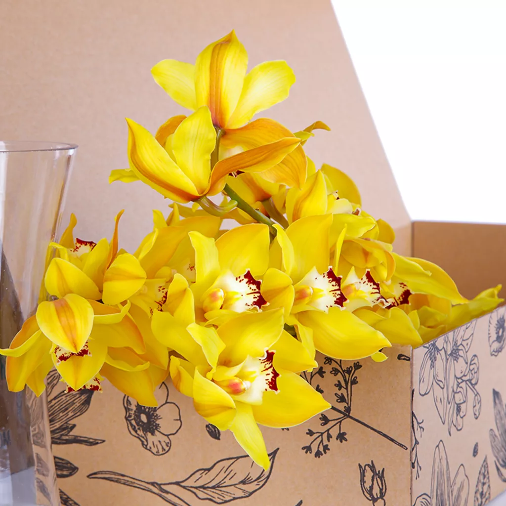 Cymbidium Yellow Cymbidium Yellow