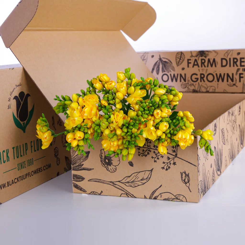 Freesia Yellow A cardboard box containing a bunch of cheerful yellow Freesia flowers, emphasizing their vibrant colour and delicate form.