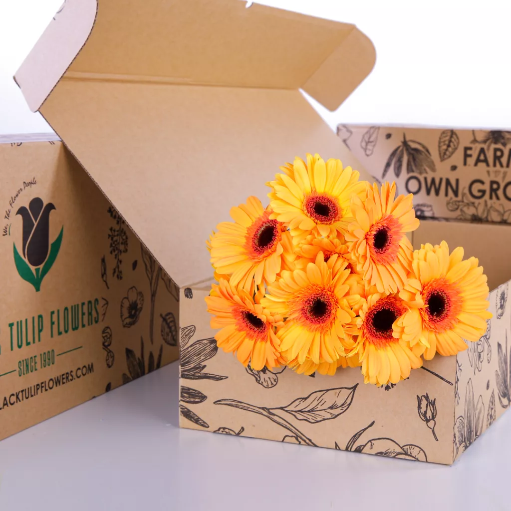 Gerbera Dark Peach 10 yellow orange gerbera bunches in a cardboard box