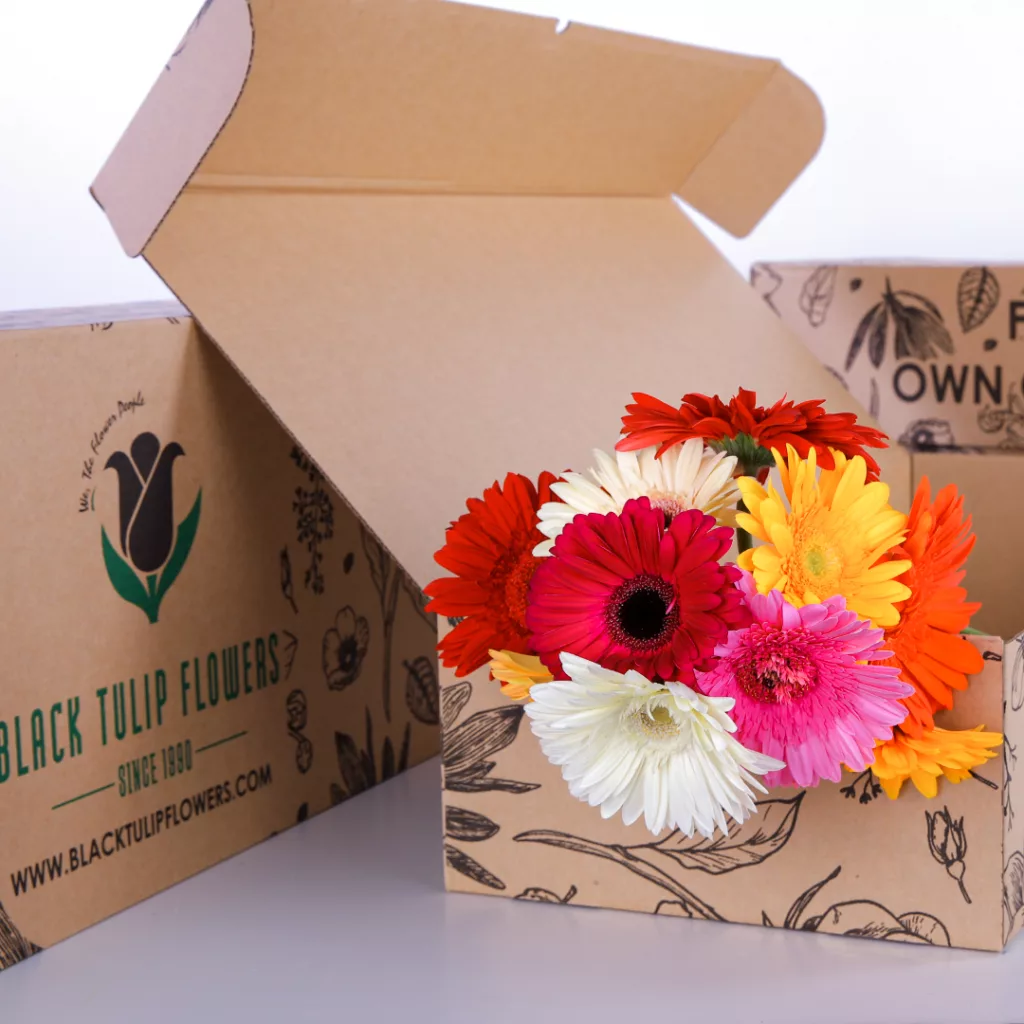 Gerbera Mix Gerbera Mix