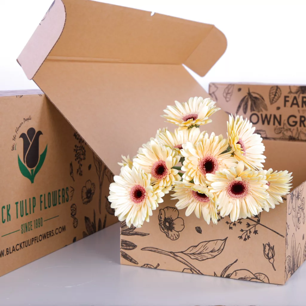 10 peach gerbera bunches in a cardboard box