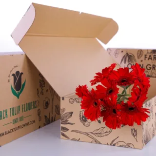 10 red gerbera bunches in a cardboard box with flower food.