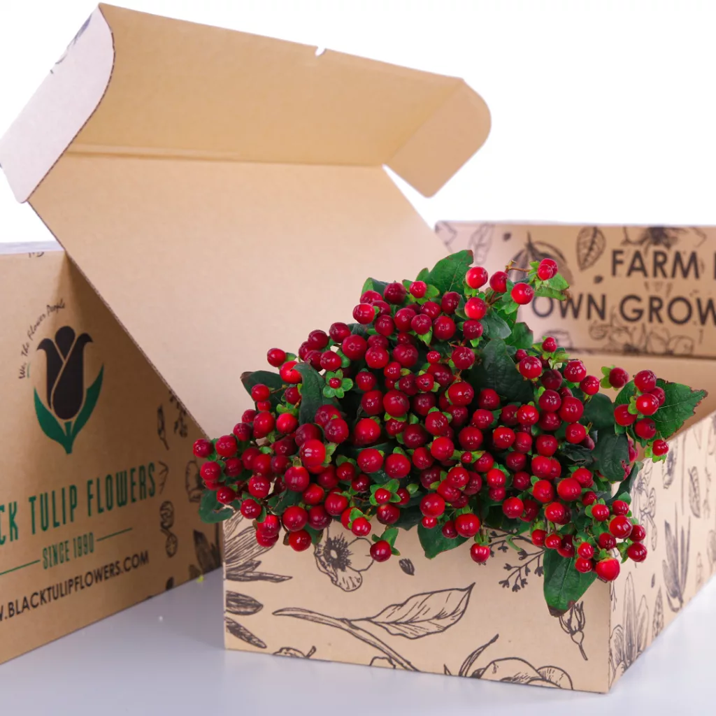 A cardboard box filled with a bunch of Hypericum Brown, highlighting the rich hues and natural beauty of the flowers.