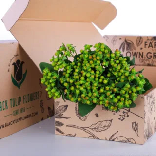 A cardboard box containing a bunch of vibrant Hypericum Green plants, showcasing their lush hues.
