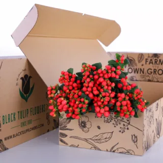 A cardboard box with a collection of Hypericum Pink flowers, featuring their striking pink hues and lush foliage.