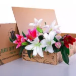 Lilies Mix
