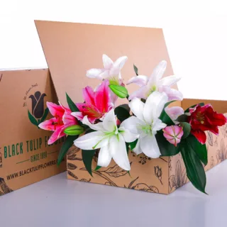 A Mixed bouquet of pink and white lilies, arranged in a cardboard box.