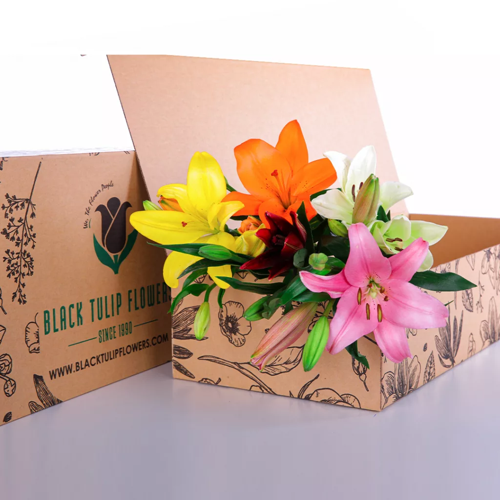 Lily Asiatic Mix Lily Asiatic Mix