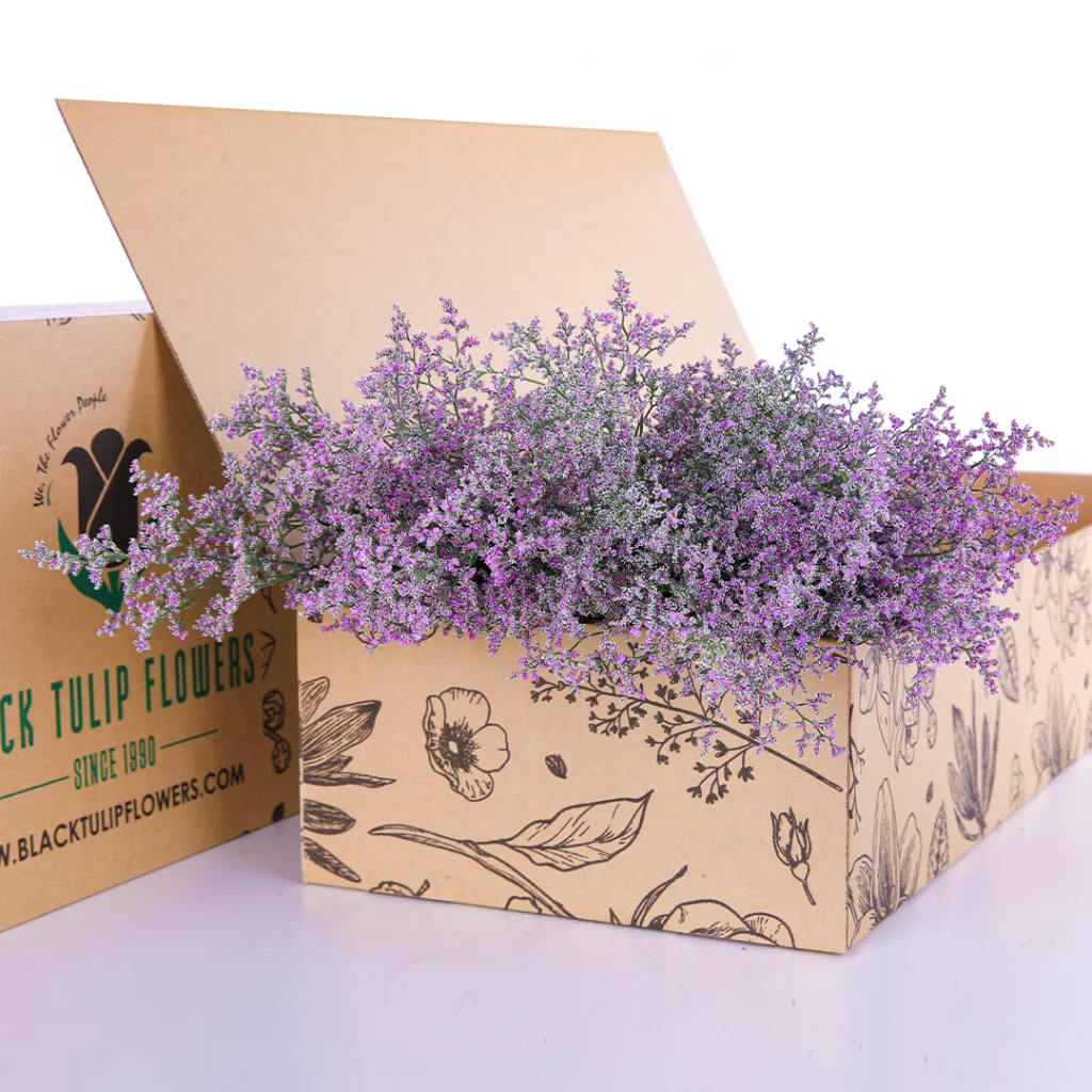 Limonium Caspia Purple A bunch of Limonium/Caspia-Purple flowers arranged in a cardboard box, emphasizing their beautiful purple shades.
