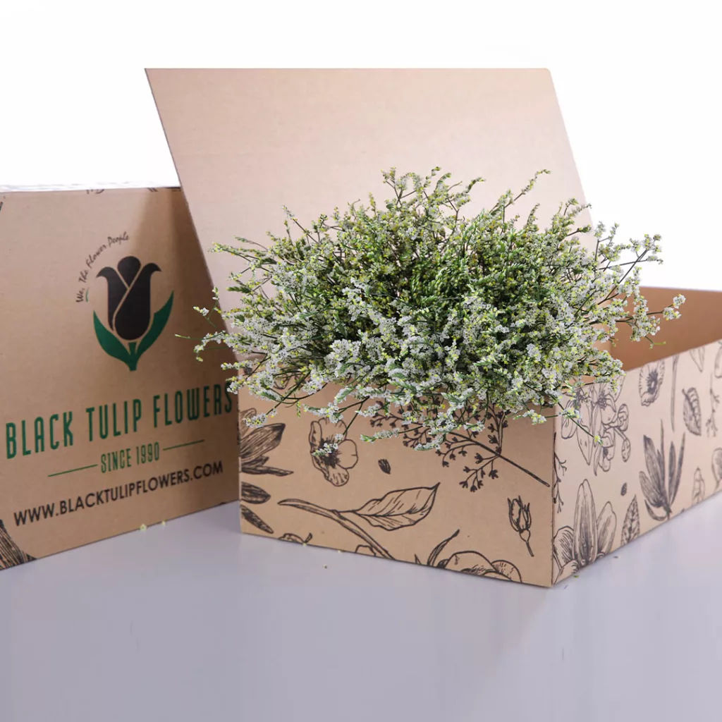 Limonium Caspia-White A cardboard box filled with a cluster of white Limonium flowers, commonly referred to as Caspia, elegantly displayed.