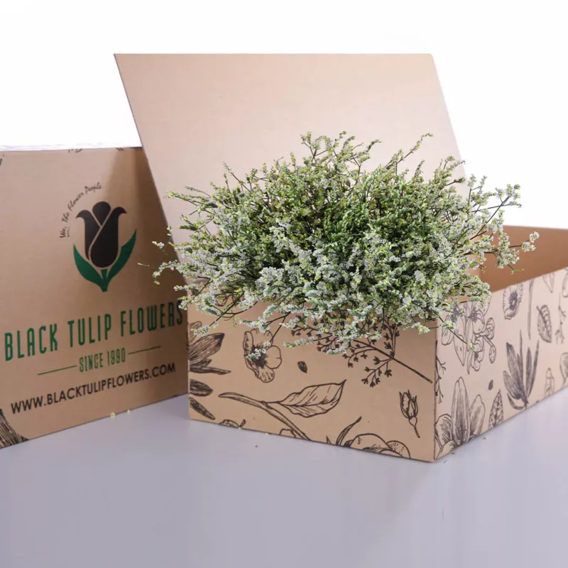 Limonium Caspia-White A cardboard box filled with a cluster of white Limonium flowers, commonly referred to as Caspia, elegantly displayed.