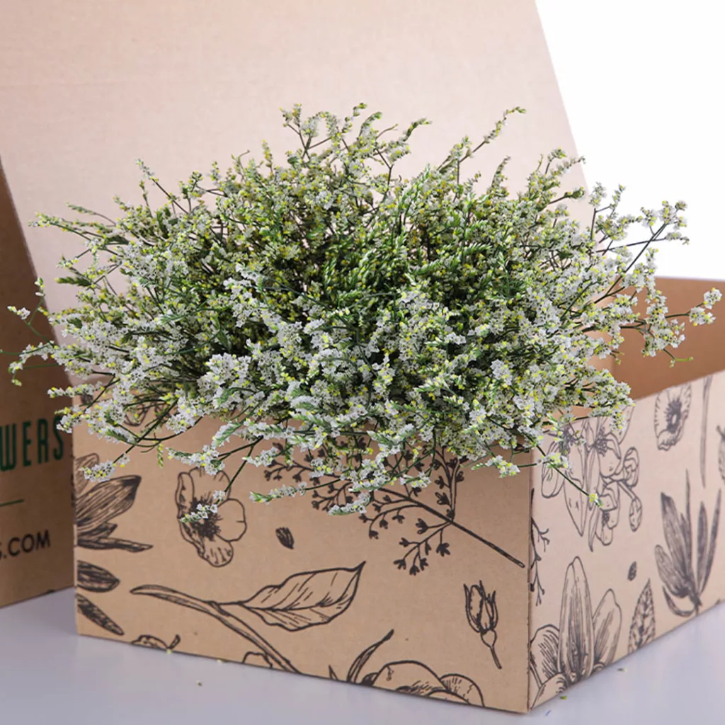 Limonium Caspia-White (3) Limonium Caspia-White