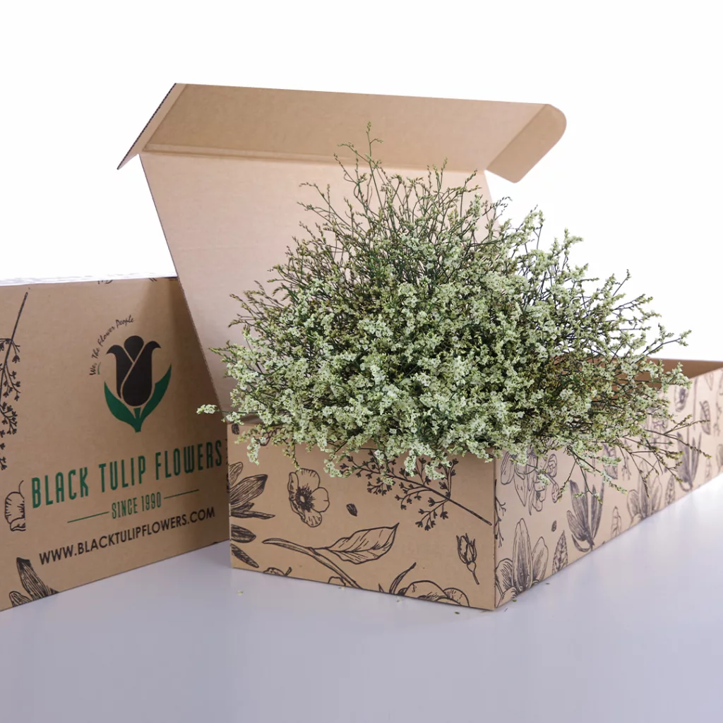 Limonium Caspia-Yellow A cardboard box filled with vibrant yellow Limonium flowers, showcasing their delicate beauty and fresh appearance.