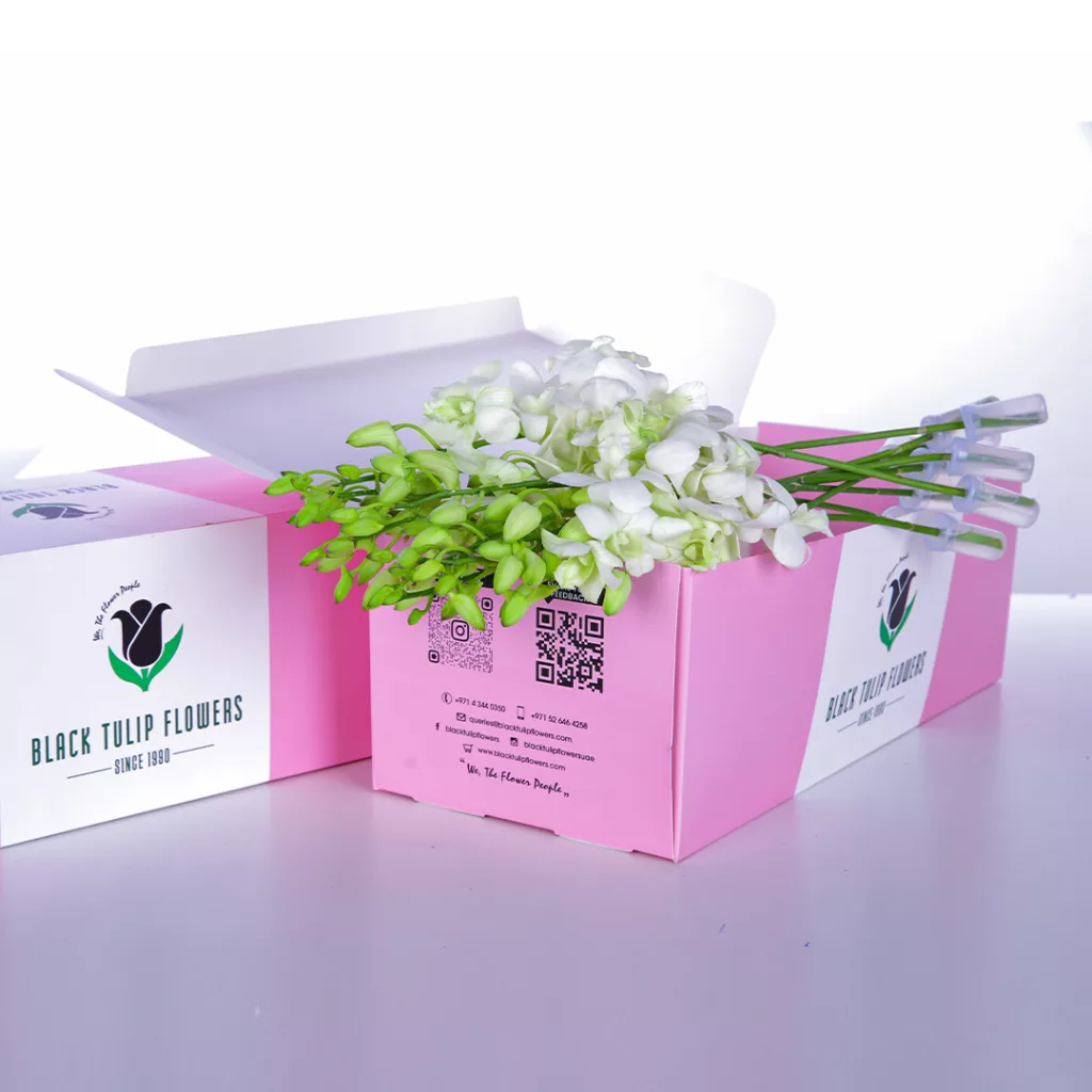 A bunch of Orchid Dendrobium Whites in a box
