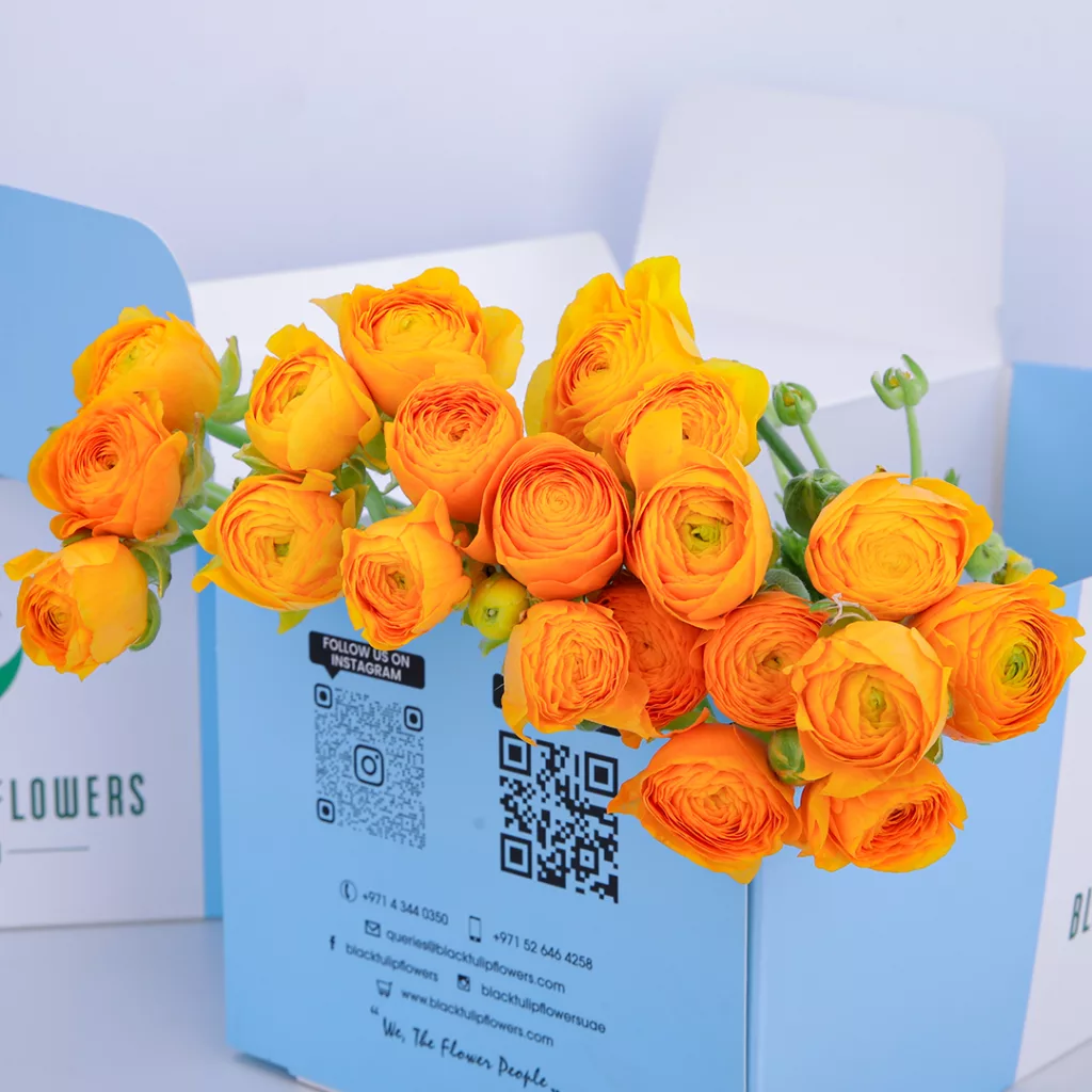 Ranunculus Yellow