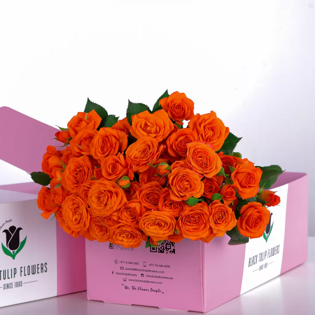 Spray Rose Orange Spray Rose Orange