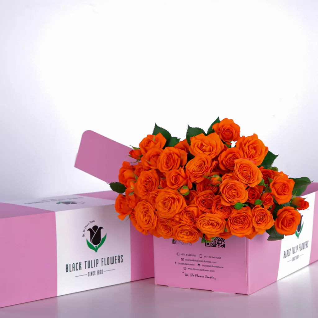 Spray Rose Orange Bunch of 10 orange spray roses in a pink box with flower food.