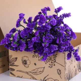Statice Blue