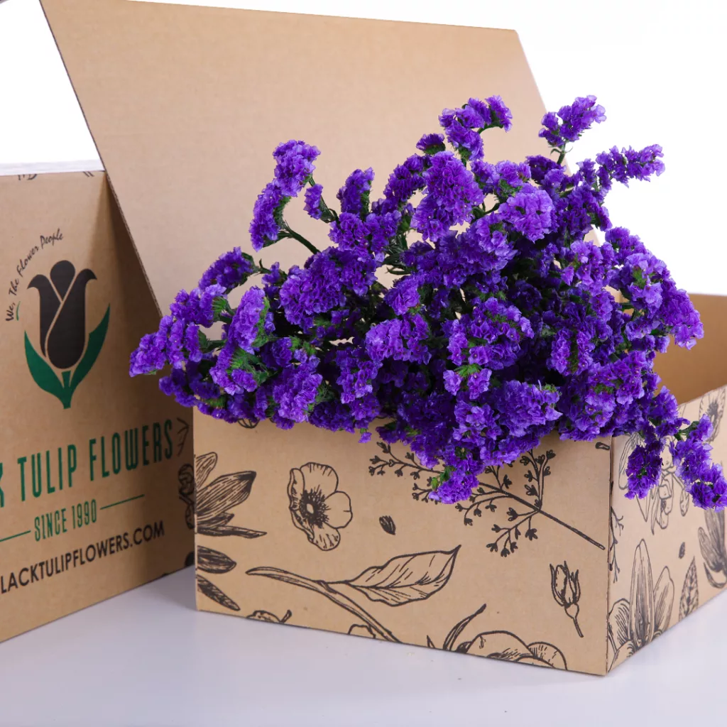 Statice Blue A cardboard box containing a bunch of Statice Blue flowers, emphasizing their vivid colour and elegant appearance.