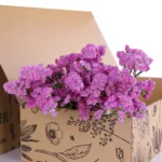Bunch of Statice Pink 2 Statice Pink