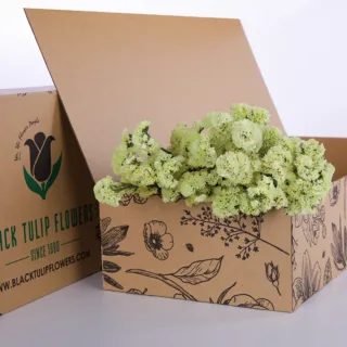 A cardboard box filled with vibrant yellow Statice flowers, showcasing their bright colour and delicate texture.