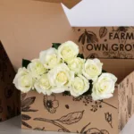 Rose White 2 Rose White