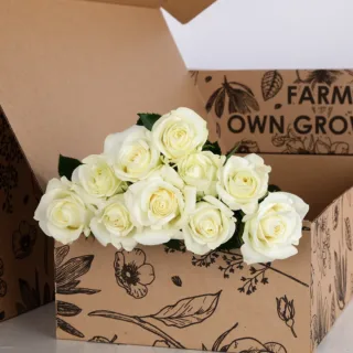 Rose White