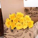 Rose Yellow 2 Rose Yellow