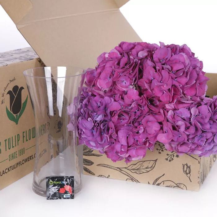 dark_pink dark pink hydrangea bunches in a cardboard box with a glass vase and flower food- diy kit