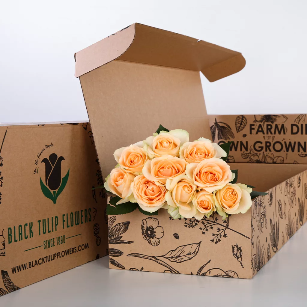 Rose Peach Bunch of 10 stem peach roses in a brown box.