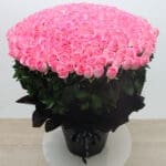 Regal Expressions – 300 Pink Roses Bouquet 3 02