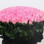 Regal Expressions – 300 Pink Roses Bouquet 4 03