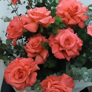 Garden Blossom