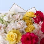 4 (38)