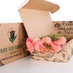 Anthurium Light Pink 1 Anthurium Light Pink (2)