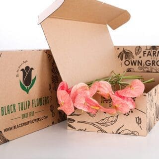 A cardboard box featuring a light pink Anthurium, highlighting its delicate flowers and healthy foliage.