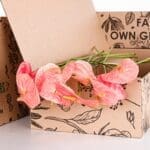 Anthurium Light Pink 2 Anthurium Light Pink (3)