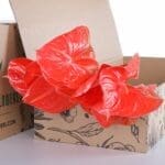 Anthurium Red Orange 2 Anthurium Red