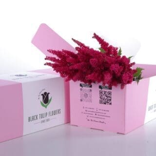 A collection of Astilbe Red flowers arranged in a cardboard box, highlighting their vivid red tones.