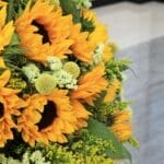Cheerful Bunch (2)