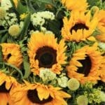 Cheerful Bunch (3)