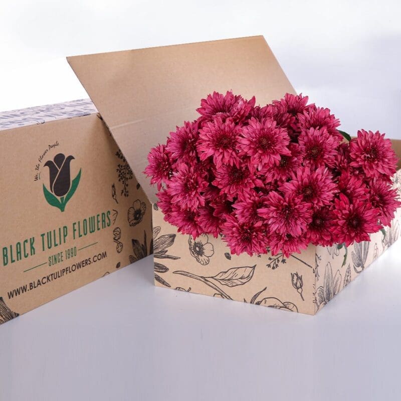 Chrysanthemum Red (2) Chrysanthemum spray red bunch in a cardboard box