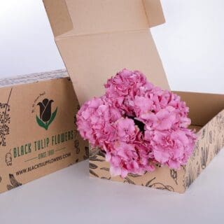 Five stems of pink hydrangeas elegantly arranged in a brown box, with flower food included.