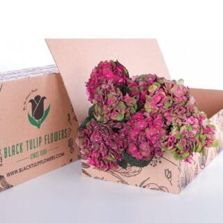 Bunch of Pink and red hydrangea in a box for DIY