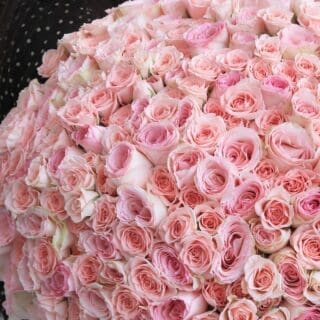 Irresistable Pink Bouquet by Black Tulip Flowers