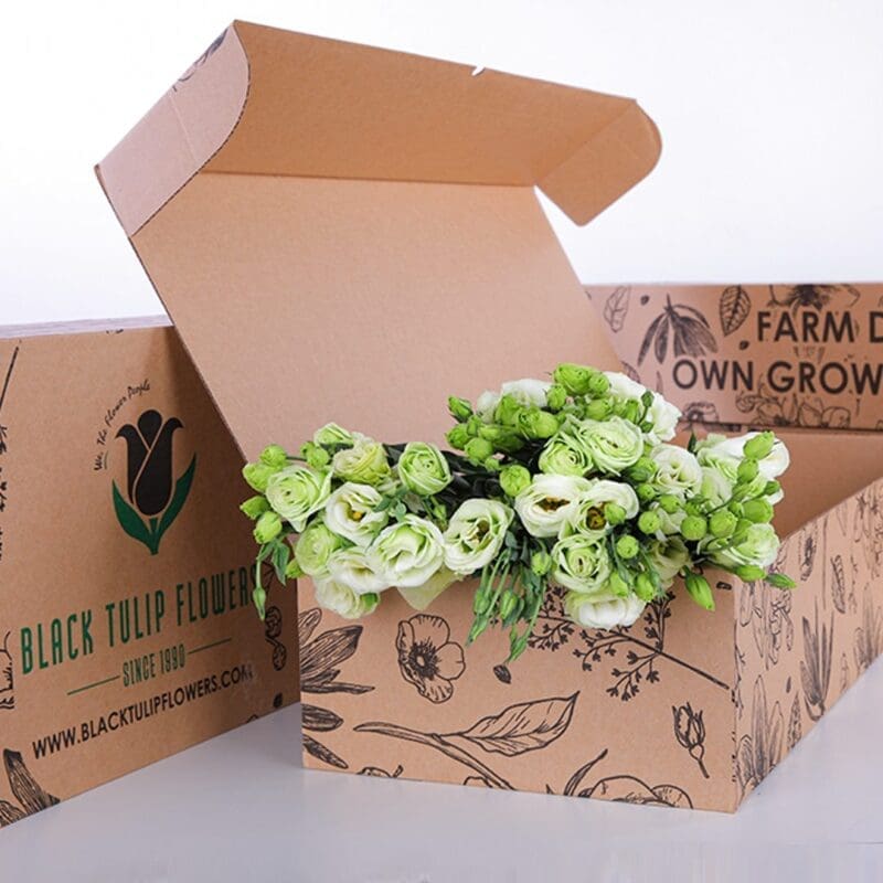 Lisianthus Green (2) A cardboard box filled with vibrant Lisianthus Green flowers, showcasing their lush green foliage.