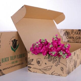 A cardboard box filled with vibrant Matthiola flowers in dark pink hues, showcasing their lush petals and greenery.