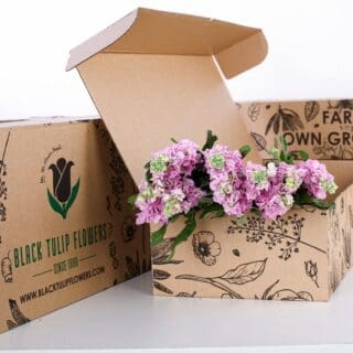 A cardboard box containing light pink Matthiola flowers, elegantly arranged for display or gifting purposes.