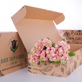 A cardboard box filled with a bunch of Matthiola Peach flowers, showcasing their delicate petals and vibrant colours.