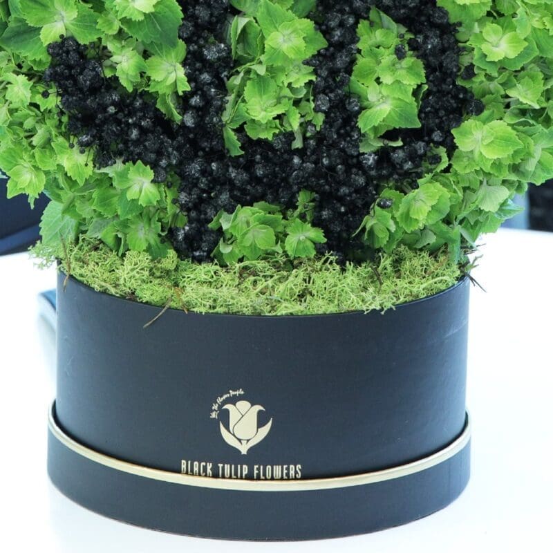 Money Inspired Box (3) Money Inspired Box by Black Tulip Flowers